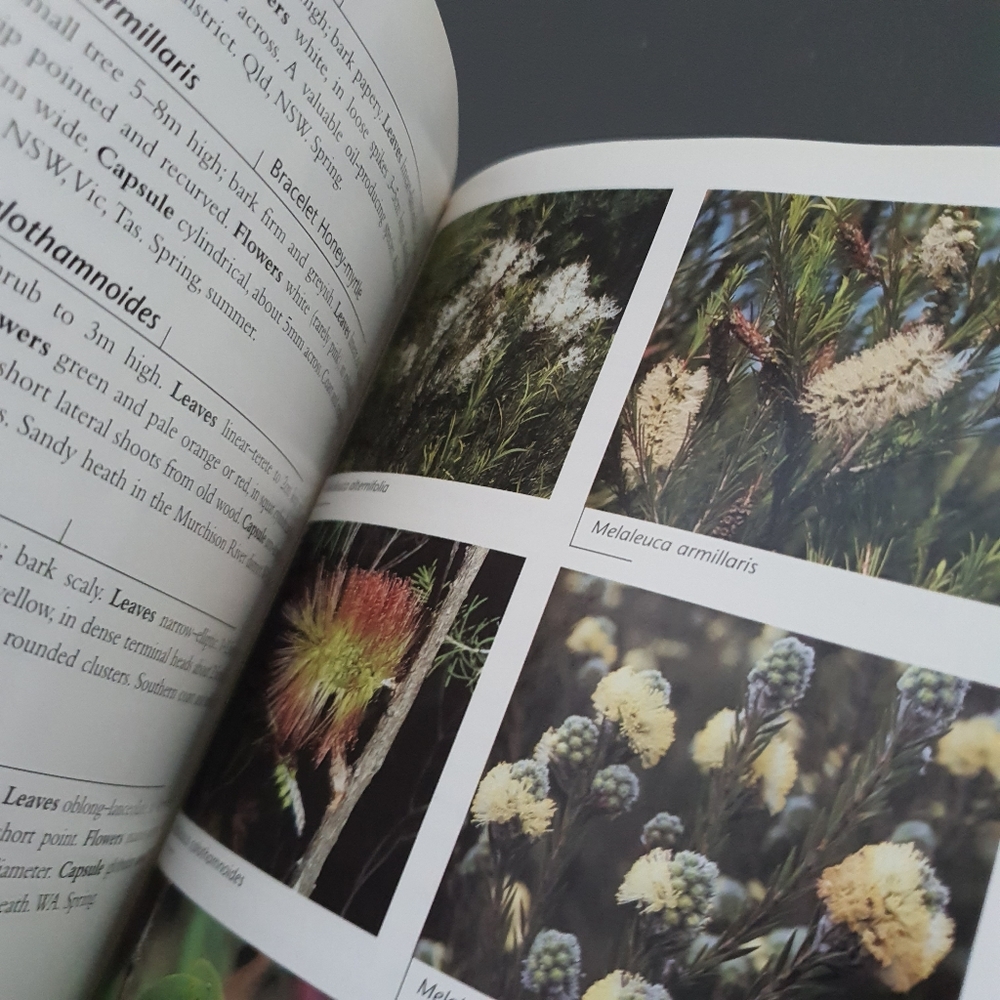 Field Guide to Australian Wildflowers Sofcover Book - Picture 6 of 7
